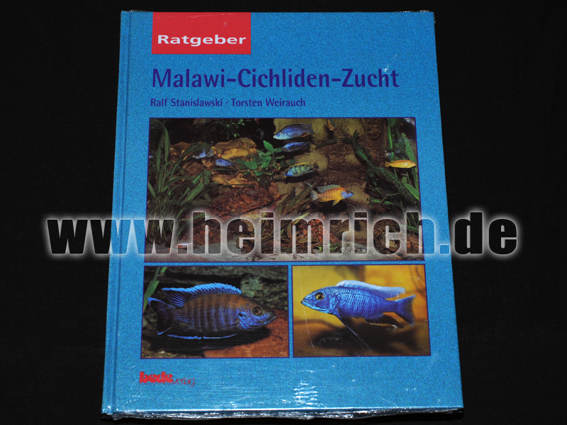 Malawi-Cichliden-Zucht