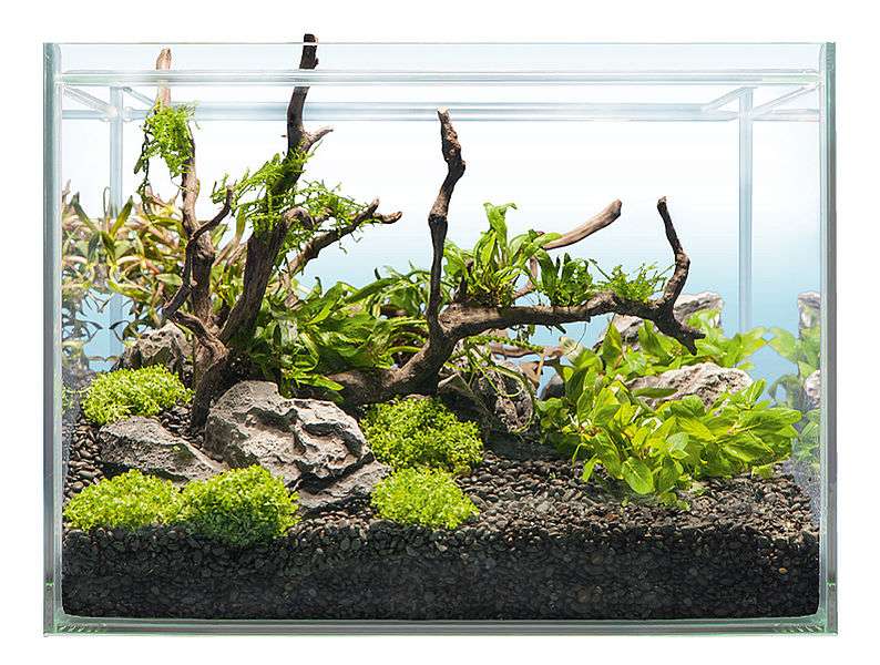 Aquascaping