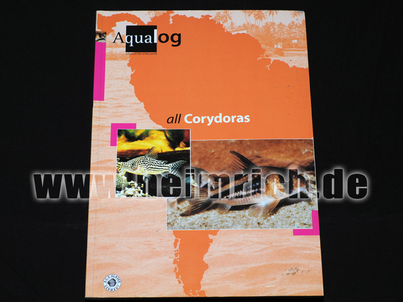 Corydoras