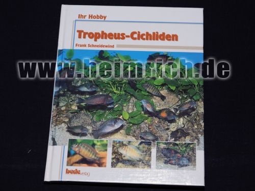 Tropheus - Cichliden