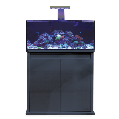 D-D Reef-Pro 900 Anthracite