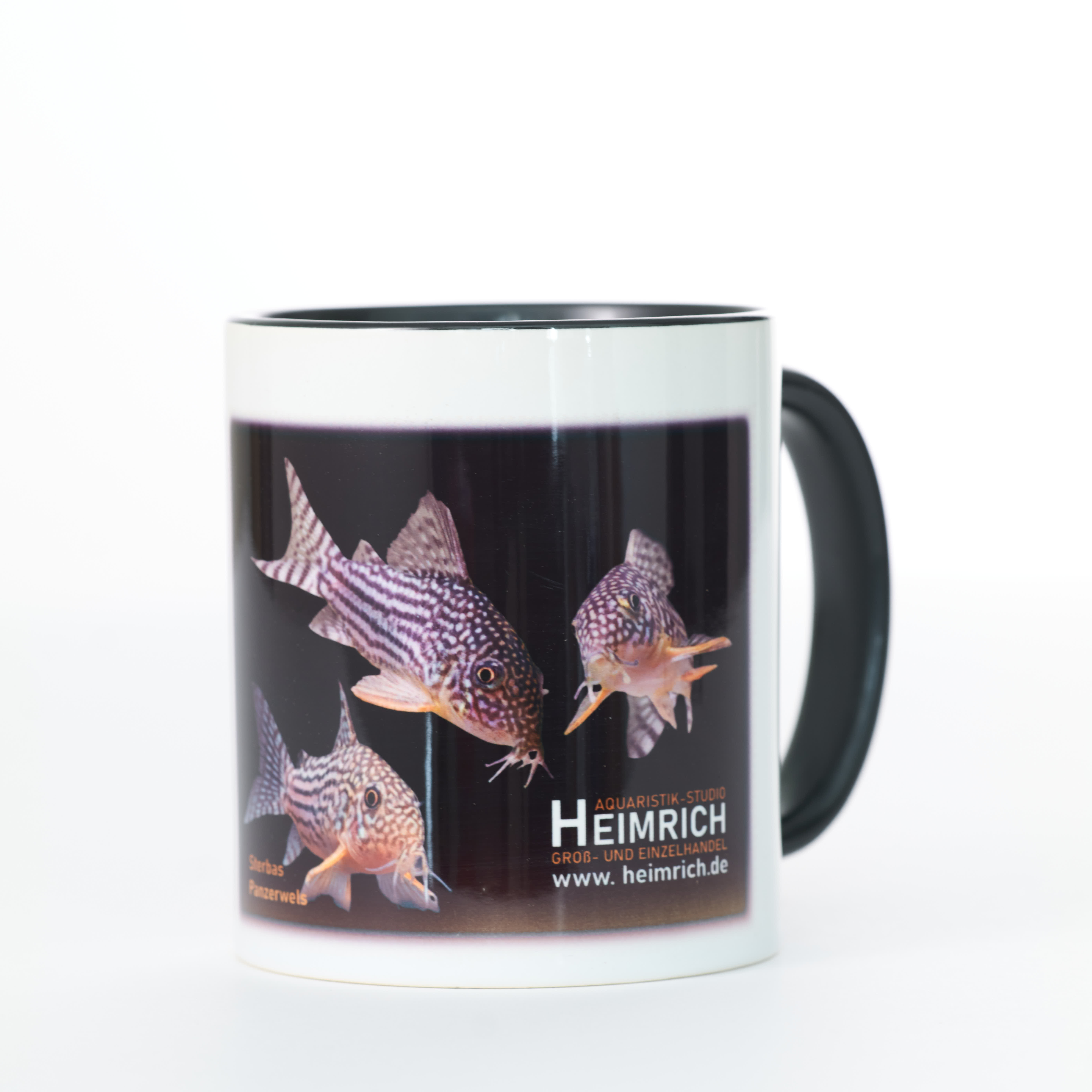 Foto-Tasse - Corydoras sterbai