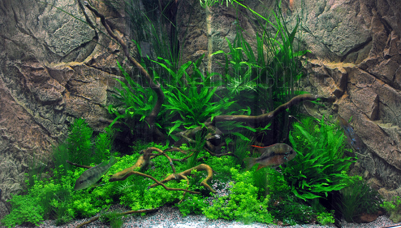 RIO NEGRO 86x86x60cm