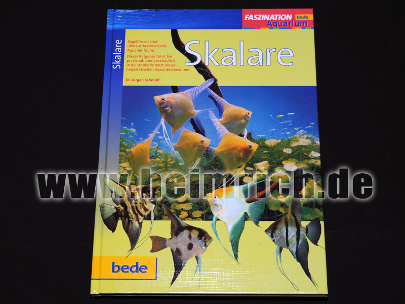 Skalare