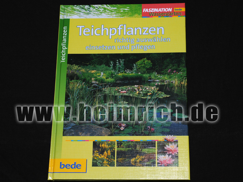 Teichpflanzen