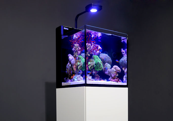 Red Sea REEER Systeme