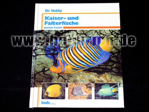 Kaiser- und Falterfische