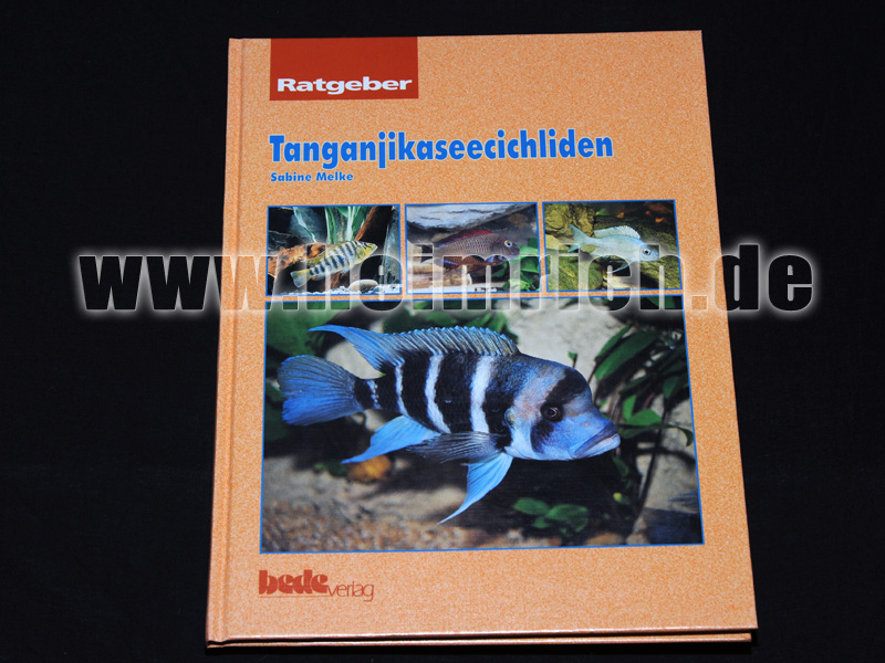 Tanganjika-Cichilden