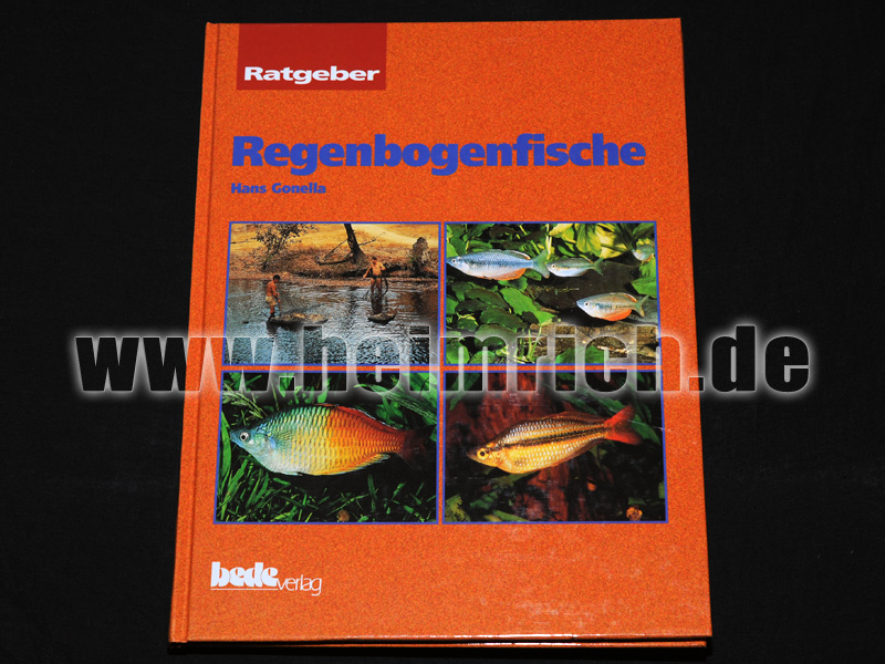 Regenbogenfische