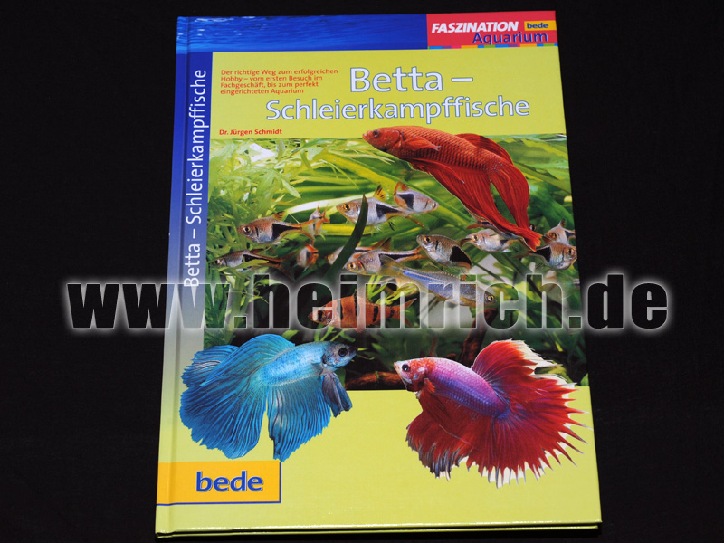 BETTA - Schleierkampffische