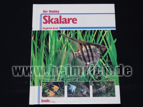 Skalare