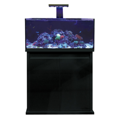 D-D Reef-Pro 900 Black