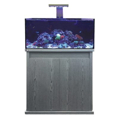 D-D Reef-Pro 900 Carbon Oak