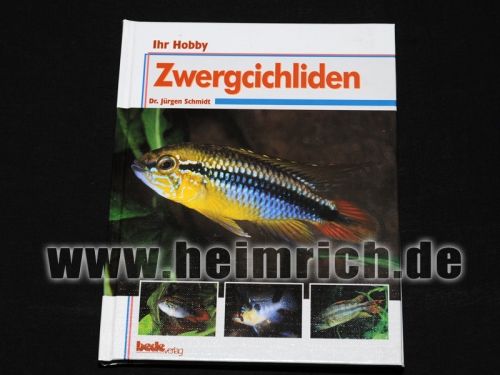 Zwergcichliden