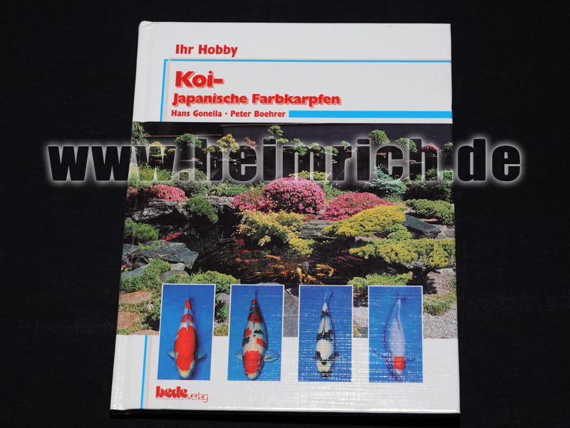 KOI - japanische Farbkarpfen