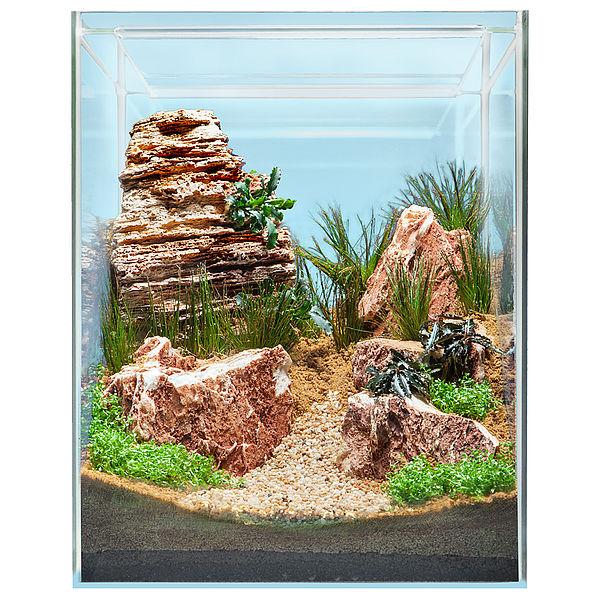 Hardscape Bepflanzung DESERT