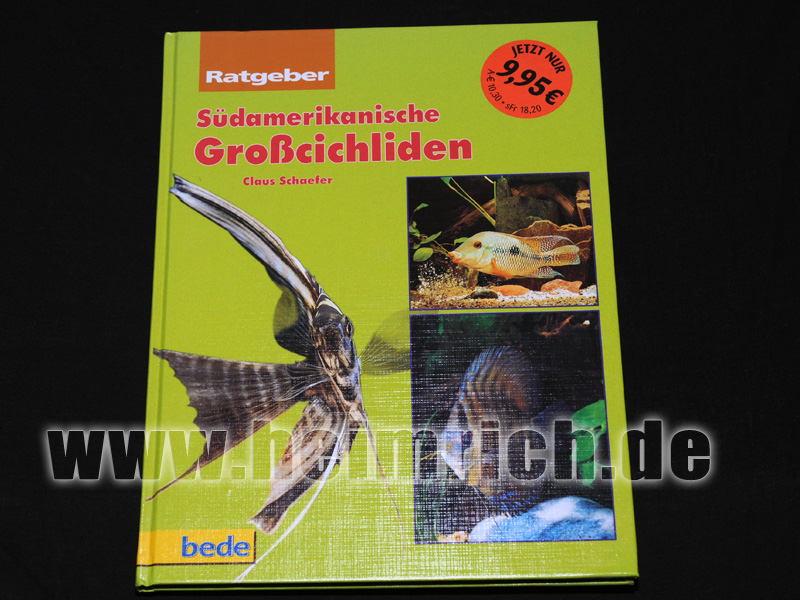 Südamerikanische Großcichliden