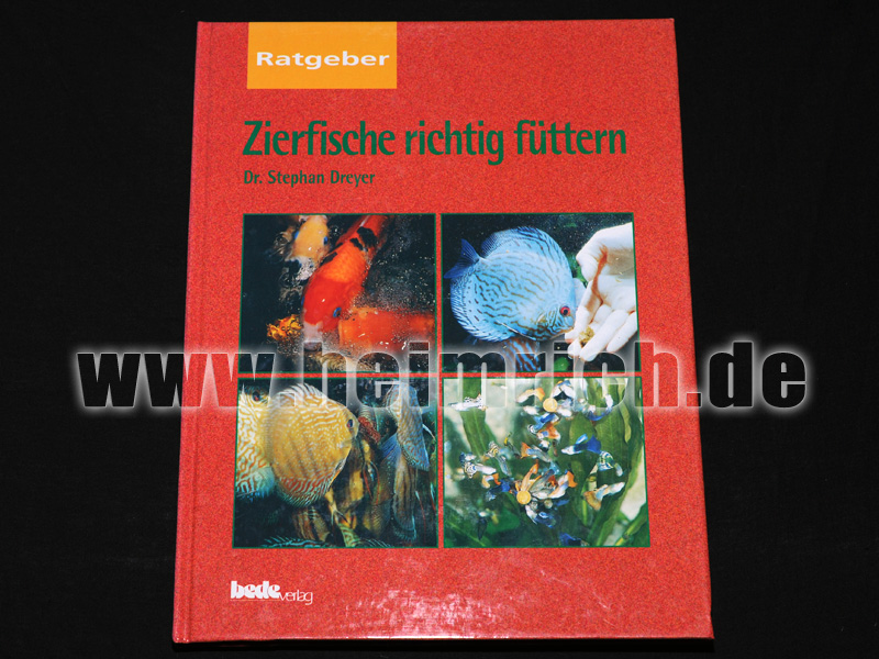 Zierfische richtig füttern