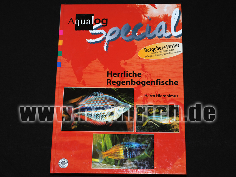 Herrliche Regenbogenfische