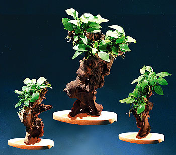 MBUNAS, ca.35cm (mit Natursteinplatte)