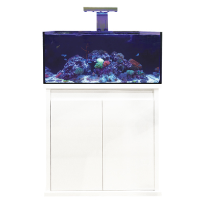 D-D Reef-Pro 900 White
